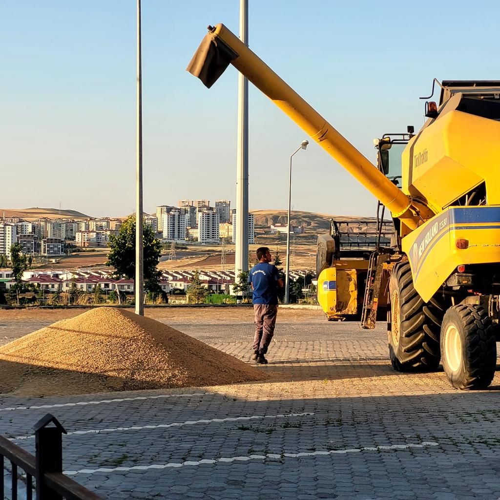 Teknokent'te Hasat Zamanı