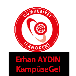 example-image